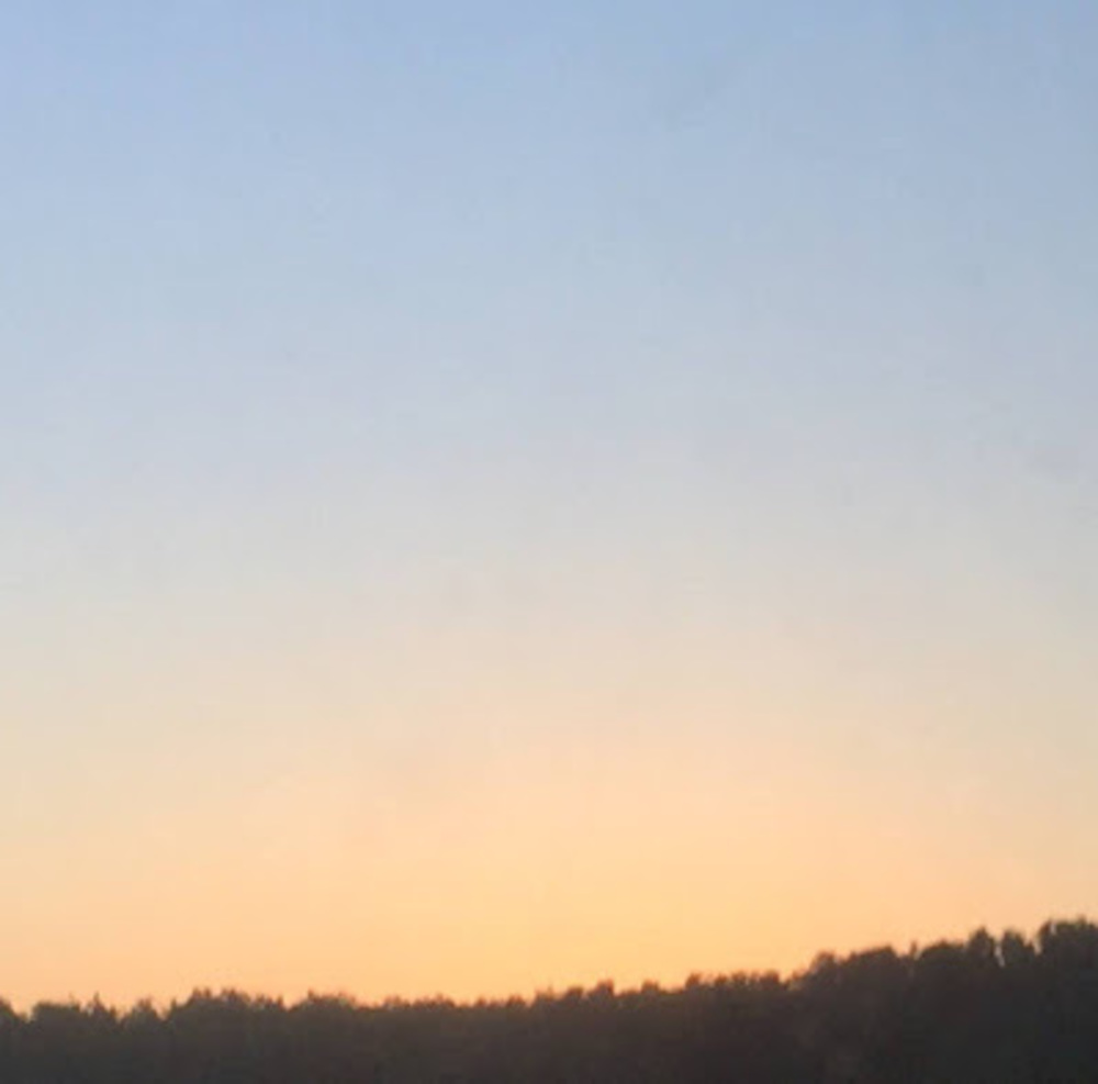 Meet your Posher, Calli